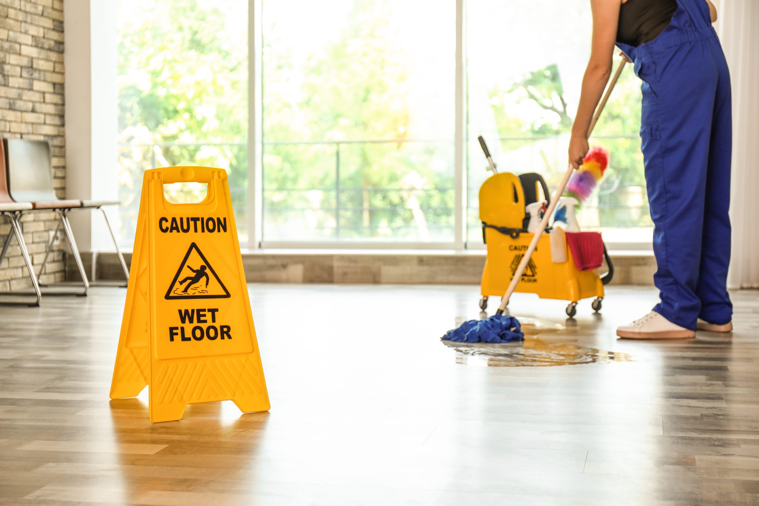 Does Fussy Cleaning offer any additional services beyond house cleaning in Edmonton?