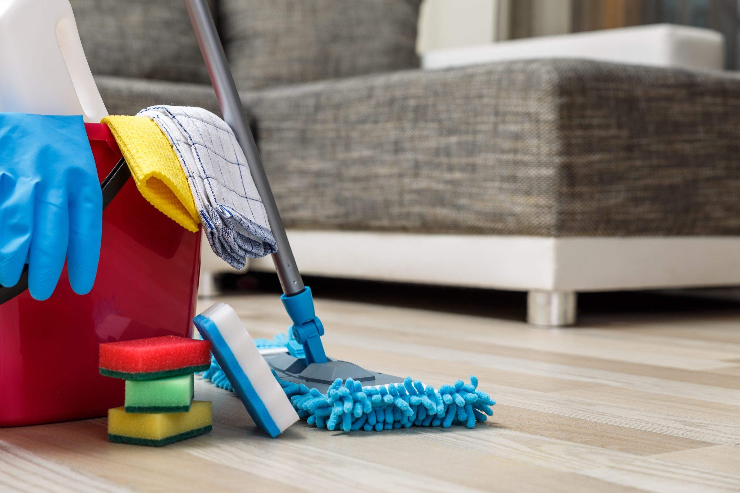 Does Fussy Cleaning offer deep cleaning services?