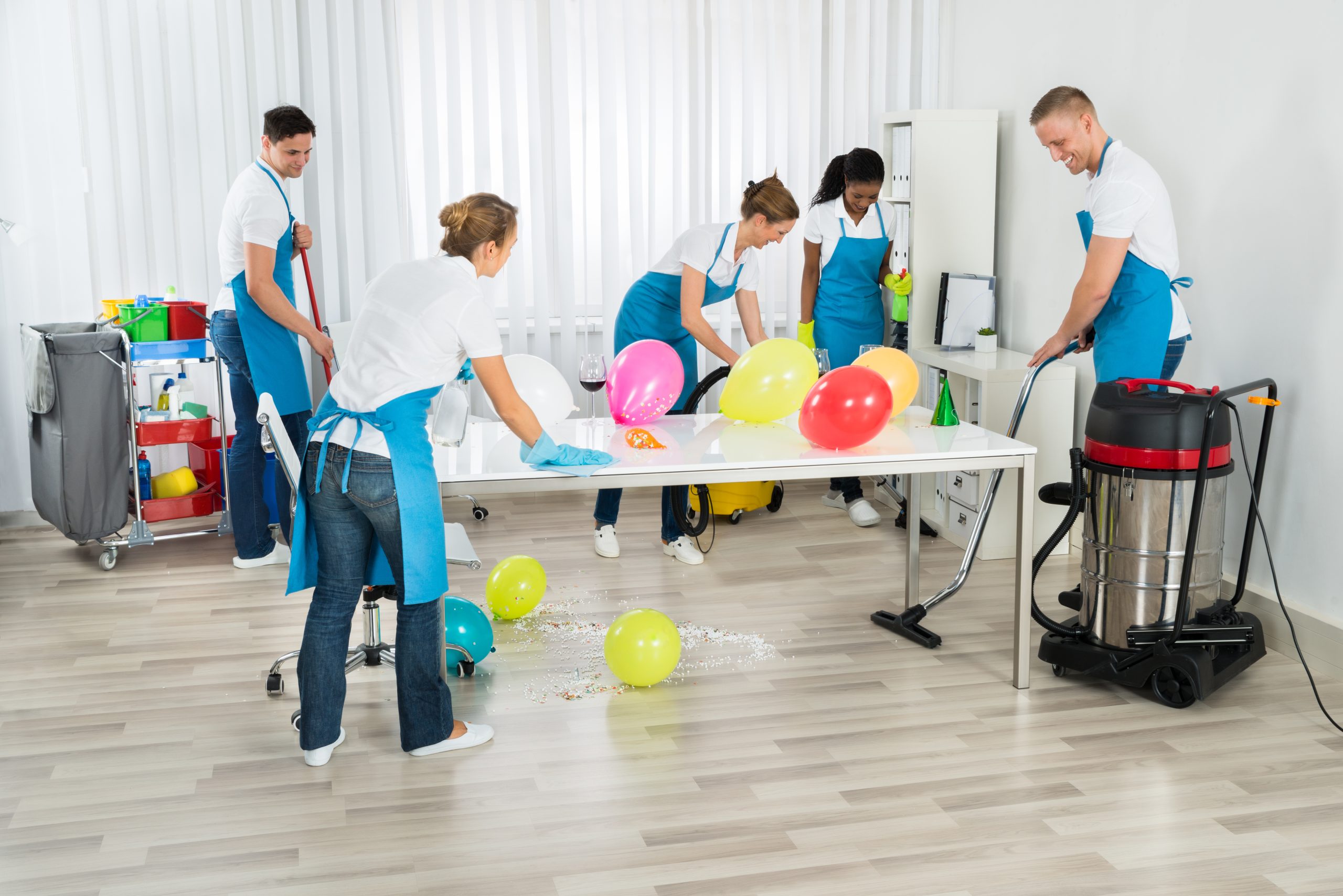 What are cleaning professionals?